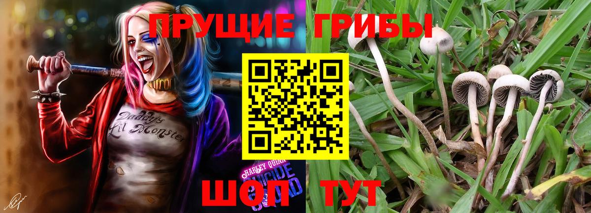 Псилоцибиновые грибы MAGIC MUSHROOMS Кохма